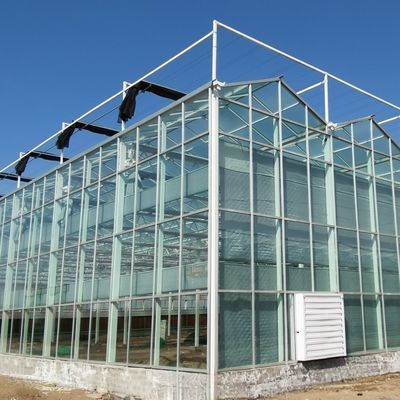 Gewächshäuser des Typs Venlo mit externem Schattierungssystem