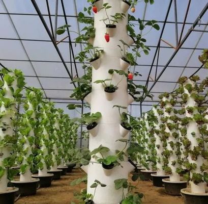 Vertikaler Landwirtschaftsbehälter Gewächshaus in 40HQ Reefer mit hydroponischem Behälter