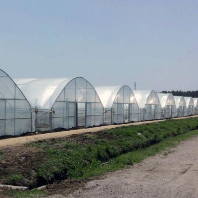 Juxiang Hydroponic Farm Film Gewächshaus mit kundenspezifischer Anfrage