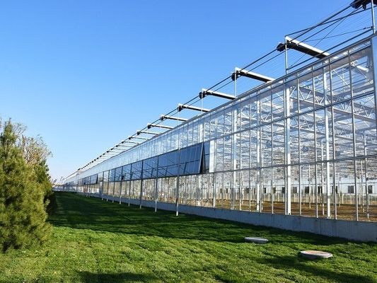 Juxiang prime s Kontrollumgebung Gewächshaussystem in Baustoffen