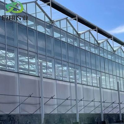 Hydroponik-Gewächshaus mit Klimaanlage und Doppelschichtglas
