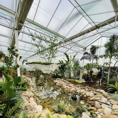 Hydroponisches Blütensystem in Stahlkonstruktion Float Glass Gewächshaus mit Anpassung