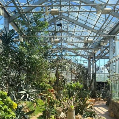 Anfängliche Zahlung Chinesischer Ursprung Glasgewächshaus mit Hydroponisches System Multi Span