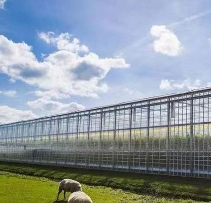 Hydroponik-Glasgewächshaus mit Schattierungsschirm-System Paket Bruttogewicht 80.000kg