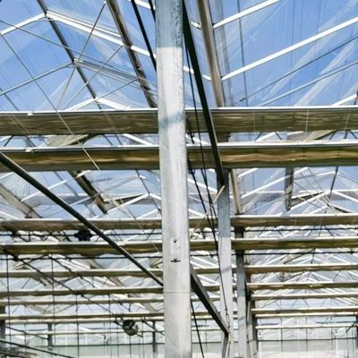 Ein Gewächshaus mit Dachglas für hydroponisches Gemüse