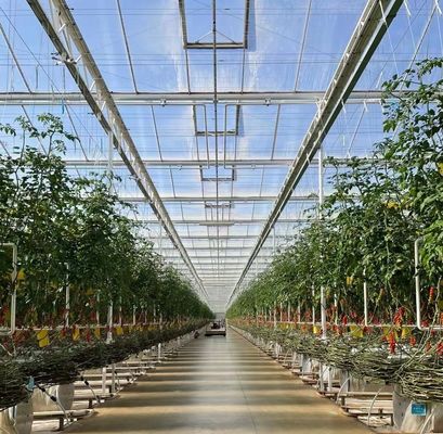 US Float Single Span Gewächshaus für Gemüse/Früchte/Blumen und Rückerstattungen