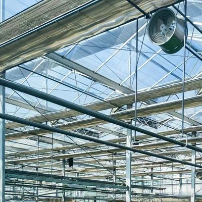 Doppelschichtglas-Tiefkühlsystem mit Multi-Span-Technologieintegration