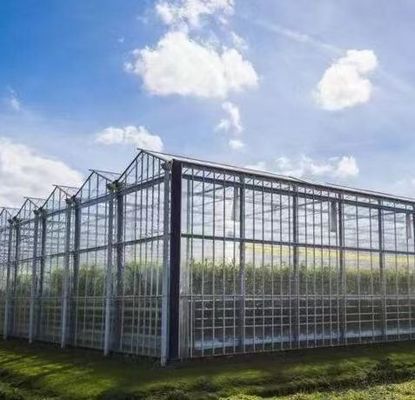 Stahlstruktur Venlo Hydroponik-Anbausystem für den hydroponischen Gemüseanbau