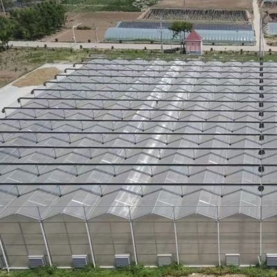 JX-A006 Große Polykarbonat-Treibhauseinrichtungen für gewerbliche und landwirtschaftliche Zwecke