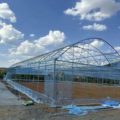 Gewächshaus für Tomaten/Kürbis-Bohrblumen mit Hydroponik-Anbausystem