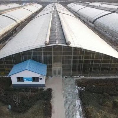 PE-Film Kunststoff für Landwirtschaft Gewächshauslösung Paket Größe 50,00cm * 60,00cm * 50,00cm