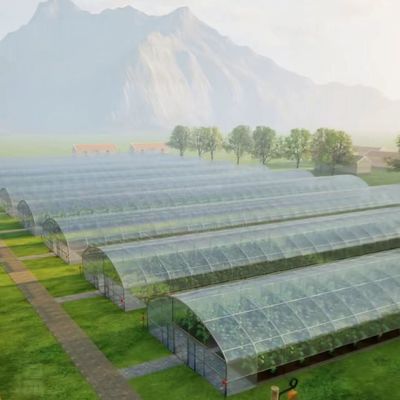 JX-A0078 Große Film Solar Gewächshäuser Stahlkonstruktion Einfachspannung Tunnel Gewächshäuser