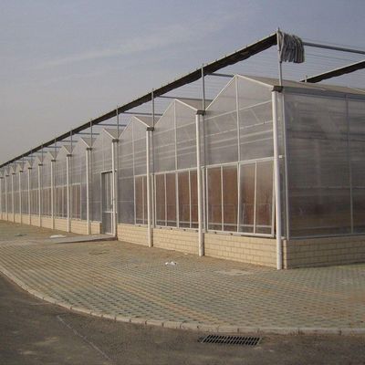 Herkunft Ökosystem mit Filmbedeckungsmaterial 20.000kg Paket Bruttogewicht