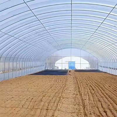 Polytunnel Kunststoff-Tunnel Einfachspannung Landwirtschaftliches Gewächshaus auf Anfrage