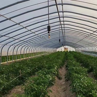 Polytunnel Kunststoff-Tunnel Einfachspannung Landwirtschaftliches Gewächshaus auf Anfrage