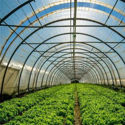 Polytunnel Kunststoff-Tunnel Einfachspannung Landwirtschaftliches Gewächshaus auf Anfrage