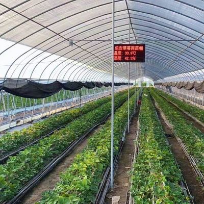 Polytunnel Kunststoff-Tunnel Einfachspannung Landwirtschaftliches Gewächshaus auf Anfrage