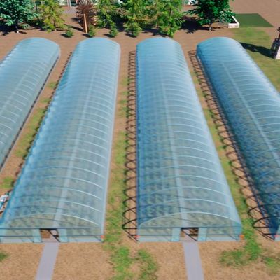 Polytunnel Kunststoff-Tunnel Einfachspannung Landwirtschaftliches Gewächshaus auf Anfrage