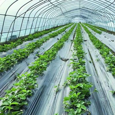 Stahlkonstruktion Ein-Tunnel-Film-Gewächshaus für Blumenpflanzung Paket Gewicht 20.000kg