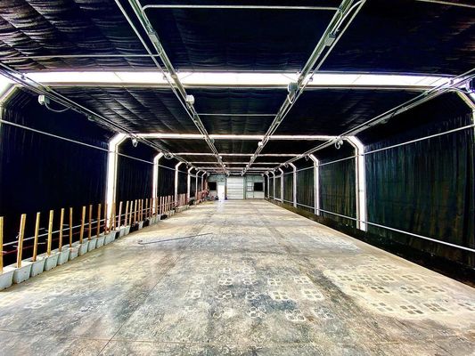 Versandkosten Landwirtschaftliche Mehrspann-Kunststoff-Tunnelfilm Gewächshaus-Anpassung