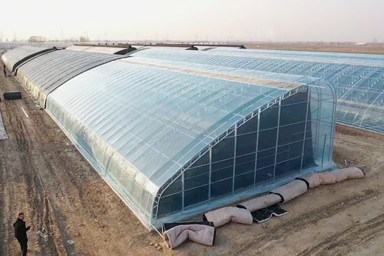 Technische Doppelschicht landwirtschaftliche Kunststofffolie Hydropoinik Gewächshäuser für die Aquakultur