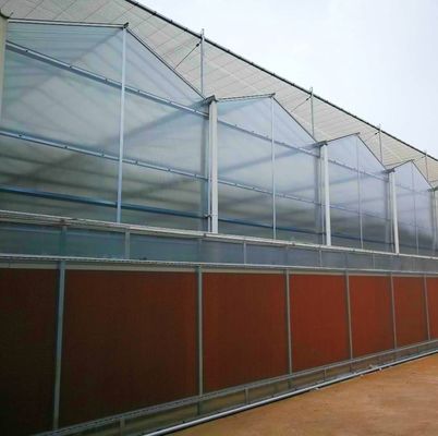 Industrielle Tunnelfilm-Multispan-Gewächshäuser mit hydroponischer Technologie und Materialien
