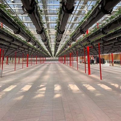 Industrielle Tunnelfilm-Multispan-Gewächshäuser mit hydroponischer Technologie und Materialien