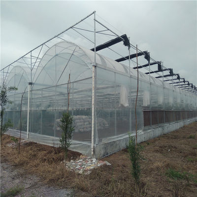 Multi Span PVC Rohr Öko-Gewächshaus zu erschwinglichen Kosten Paket Größe 50,00cm * 60,00cm * 50,00cm