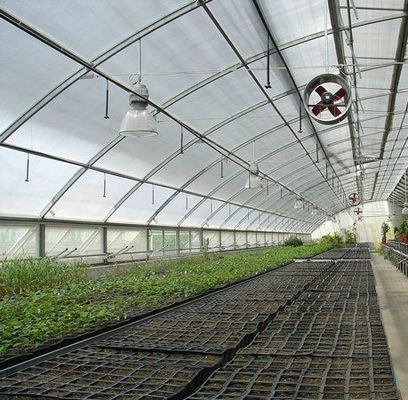 Multi Span PVC Rohr Öko-Gewächshaus zu erschwinglichen Kosten Paket Größe 50,00cm * 60,00cm * 50,00cm