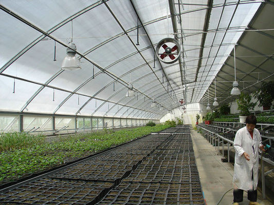 20.000kg Paket Bruttogewicht Vielspannung Tomate Gurke Erdbeeren Anbau Gewächshaus