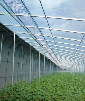 20.000kg Paket Bruttogewicht Vielspannung Tomate Gurke Erdbeeren Anbau Gewächshaus