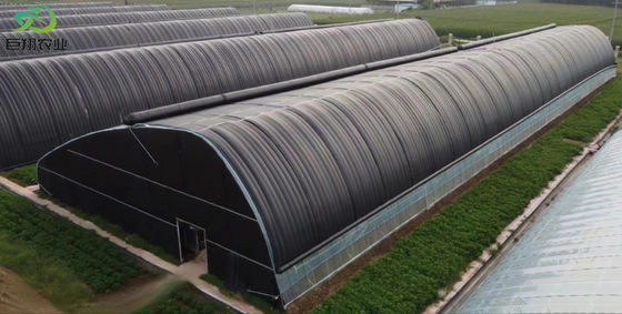 20.000kg Paket Bruttogewicht Vielspannung Tomate Gurke Erdbeeren Anbau Gewächshaus