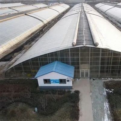 Glashaus für den Anbau von Sämlingen und medizinischen Pflanzen/Pilzen