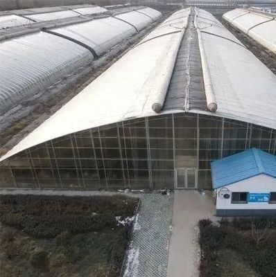 Erste Zahlung Film oder Polycarbonat PC überzogen Doppelbogenstrahl Tunnel Gewächshaus