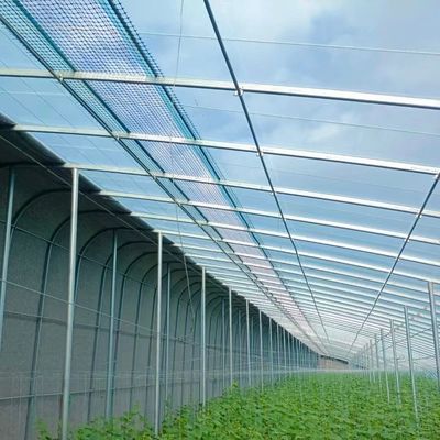 US-amerikanische landwirtschaftliche Mehrspann-Tunnel-Gewächshäuser aus Kunststofffolie mit Hydroponik
