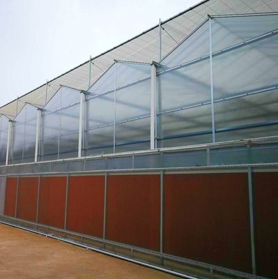 US-amerikanische landwirtschaftliche Mehrspann-Tunnel-Gewächshäuser aus Kunststofffolie mit Hydroponik