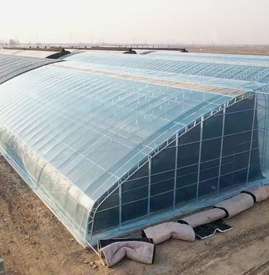 US-amerikanische landwirtschaftliche Mehrspann-Tunnel-Gewächshäuser aus Kunststofffolie mit Hydroponik