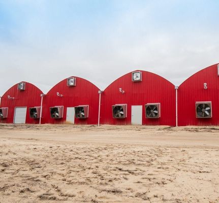 US-amerikanische landwirtschaftliche Mehrspann-Tunnel-Gewächshäuser aus Kunststofffolie mit Hydroponik