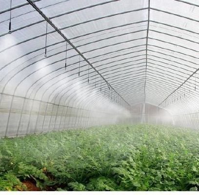 Erste Zahlung Film oder Polycarbonat PC überzogen Doppelbogenstrahl Tunnel Gewächshaus