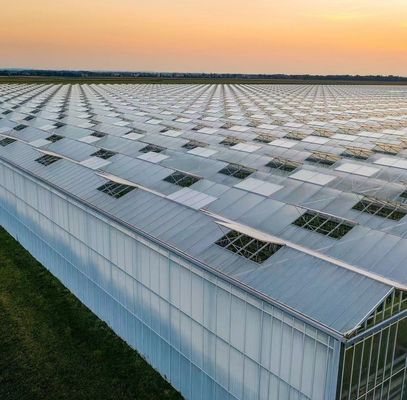 Verändern Sie Ihre Landwirtschaftserfahrung mit Tomaten Gurke Erdbeeren Hydroponik System