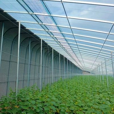 Verändern Sie Ihre Landwirtschaftserfahrung mit Tomaten Gurke Erdbeeren Hydroponik System