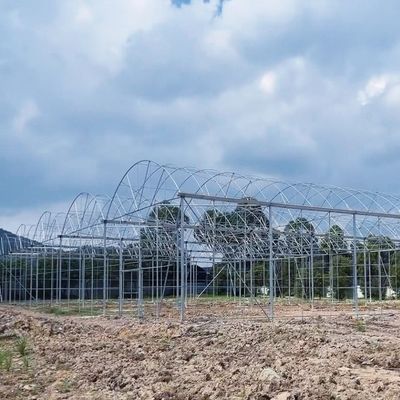 Mehrspannendes Wasserrohr-hydroponisches Anbausystem für die Effizienz der Gewächshaus-Aquakultur