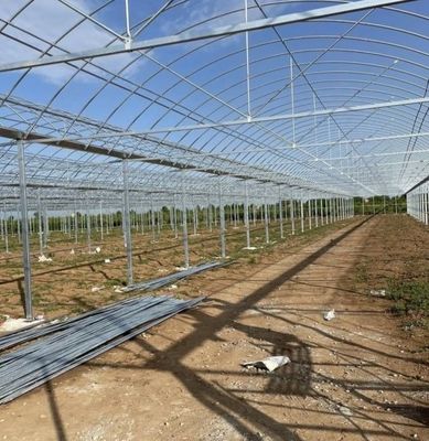 Große Aquakultur Tomate Gurke Erdbeere Hydroponik Gewächshaus mit hohem Ertrag