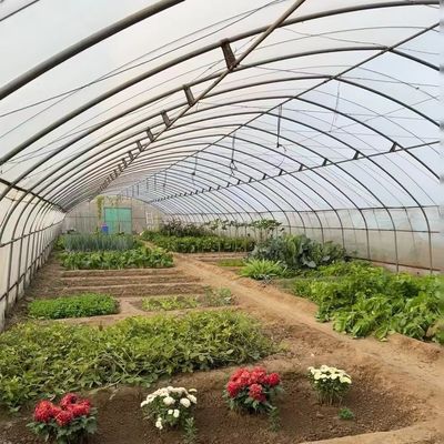 Tunnel Gewächshaus für Gemüse und Tomaten Paket Größe 50,00cm * 60,00cm * 50,00cm