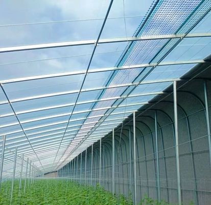 Herkunft Öko-Gewächshaus für Tomaten/Kapsicum/Gurken Stahlkonstruktion und Versandkosten