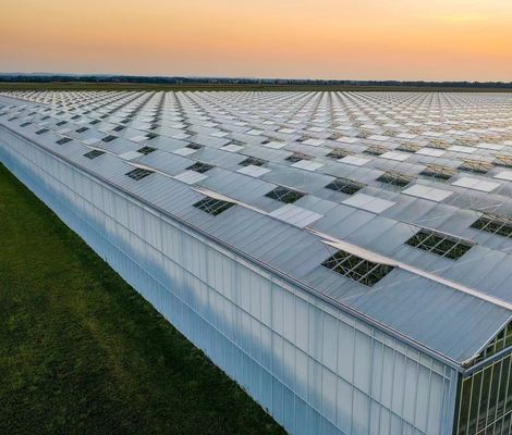 Herkunft Öko-Gewächshaus für Tomaten/Kapsicum/Gurken Stahlkonstruktion und Versandkosten
