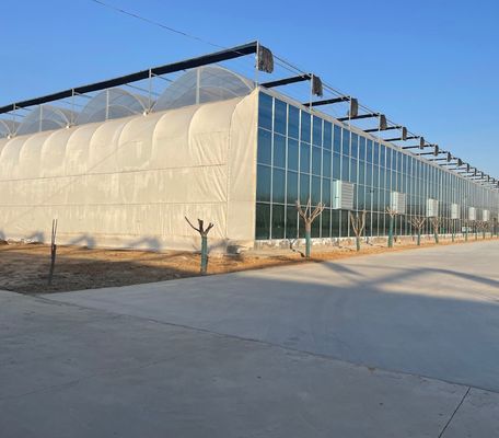 Kommerzielles Gewächshaus für Tomaten/Erdbeeren/Lautus mit Kunststofffolie