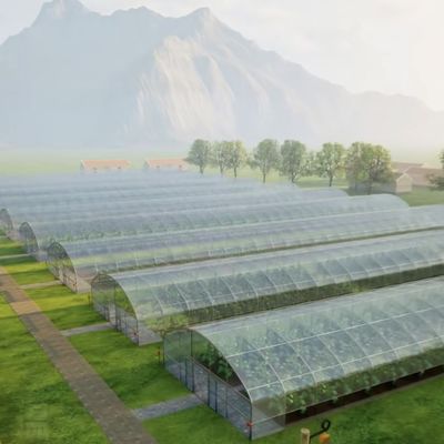 Vollvergütendes kommerzielles Gewächshaus für Tomaten und Erdbeeren im Wasserrohtunnel