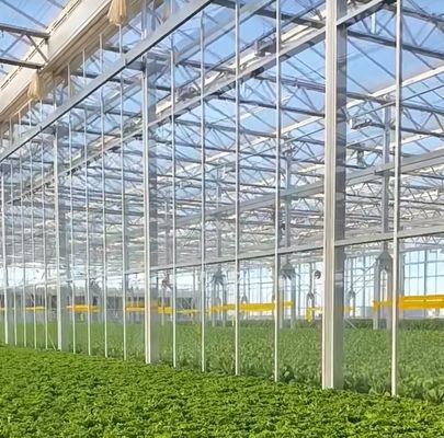 Gewerbliche Gewächshäuser Doppelbogenglas Gewächshäuser mit Schneevibrator in US-Währung