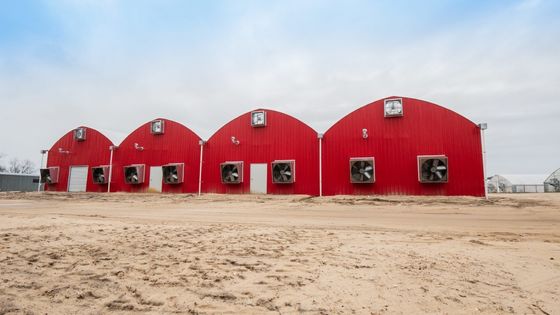 Aquakultur Stahlkonstruktion Solargewächshaus mit Bettdecke Rollverschluss und Materialien